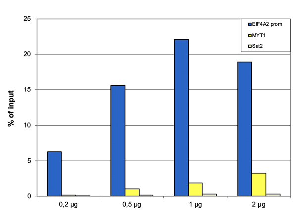 ChIP results of Anti-Histone H2A.Zac pan